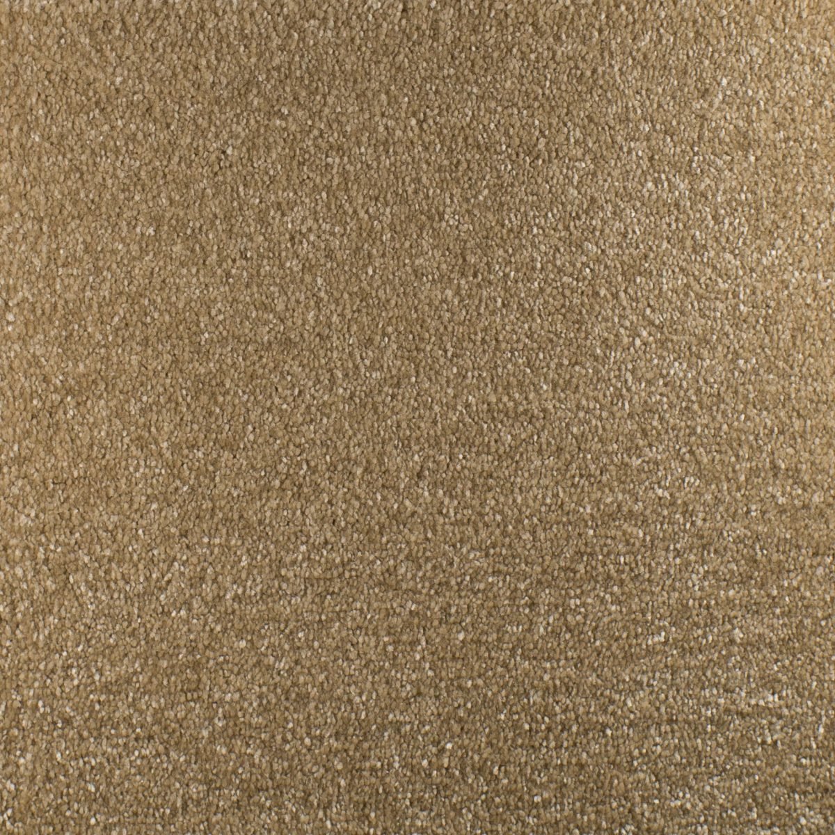 Serendipity - Image 2