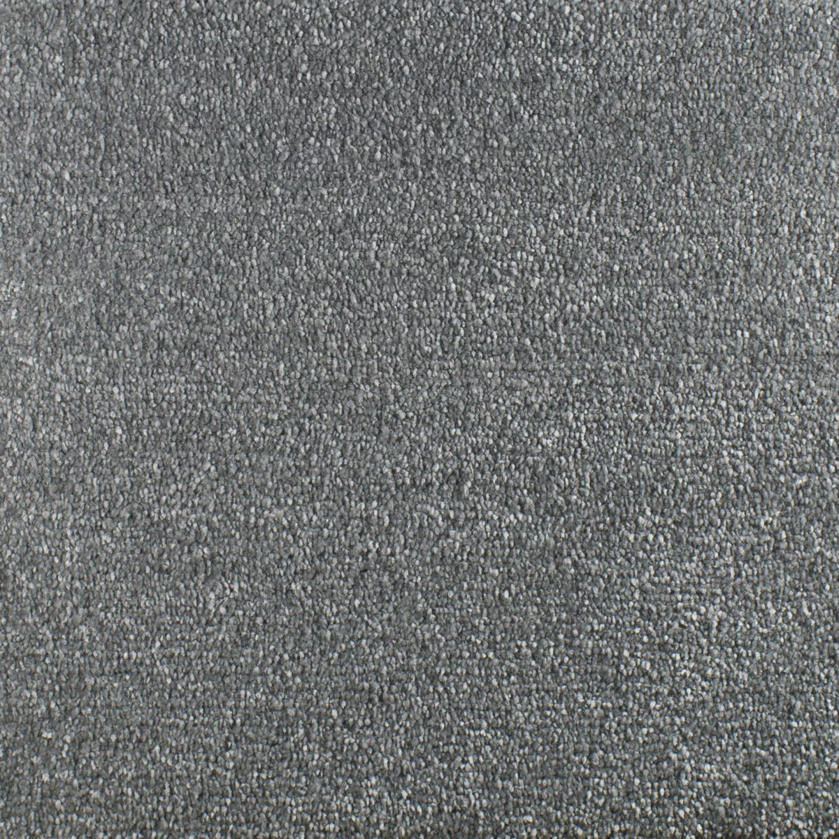 Serendipity - Image 4