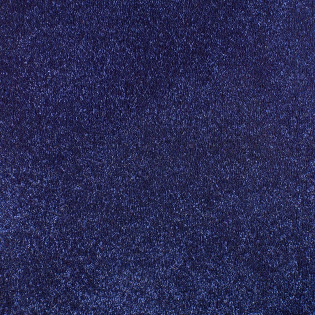 Serendipity - Image 7
