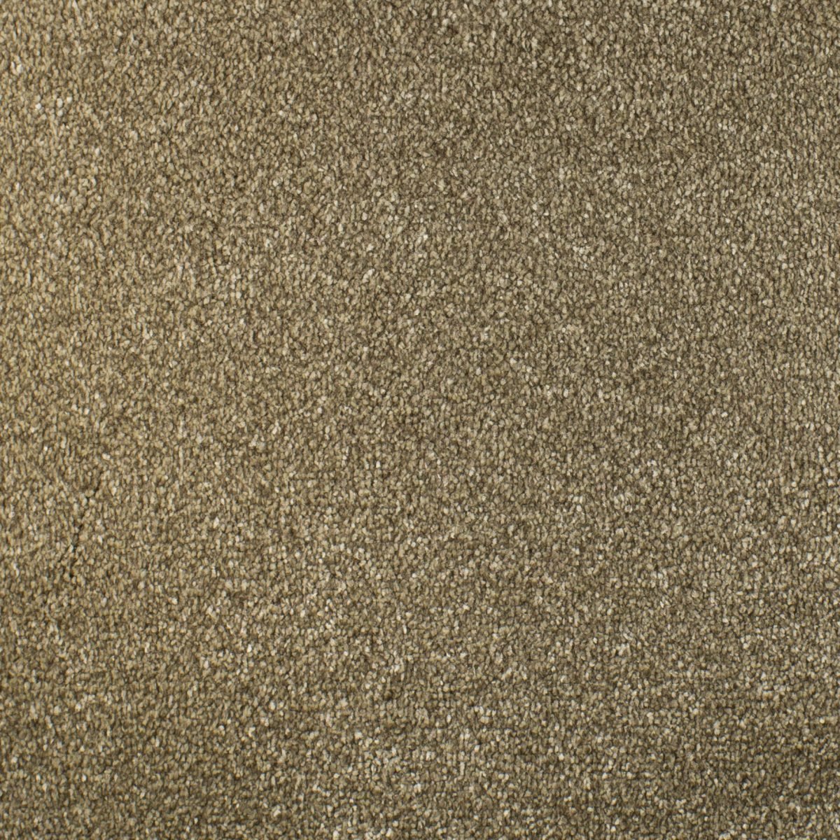 Serendipity - Image 8