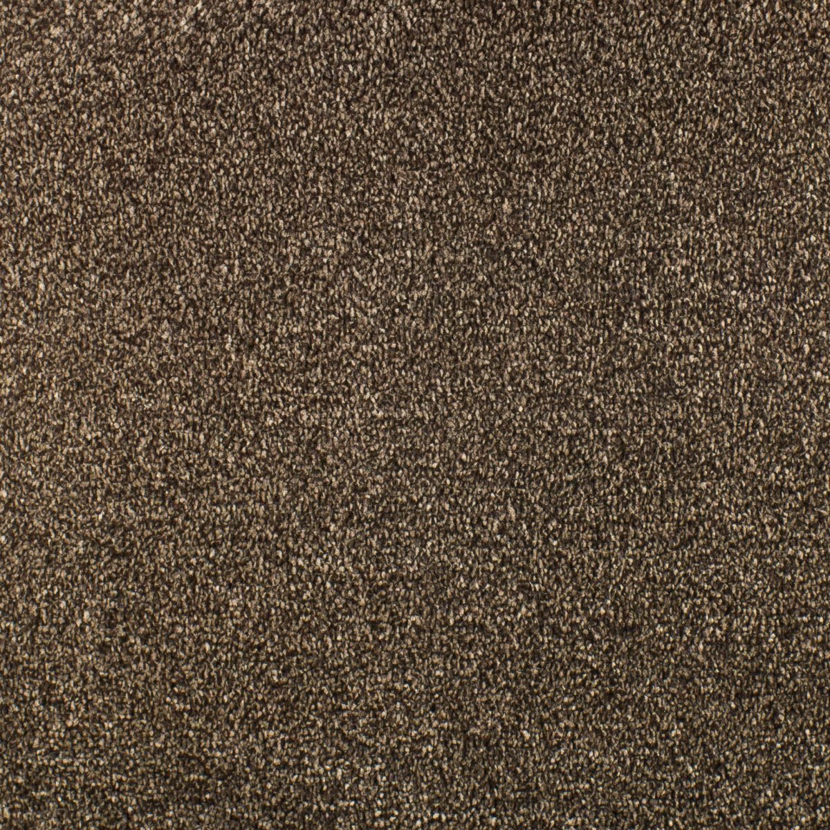 Serendipity - Image 9