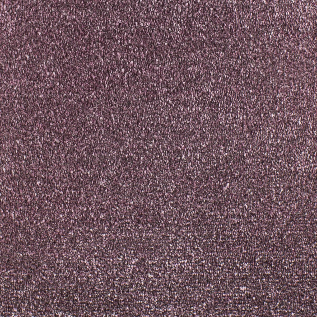 Serendipity - Image 12