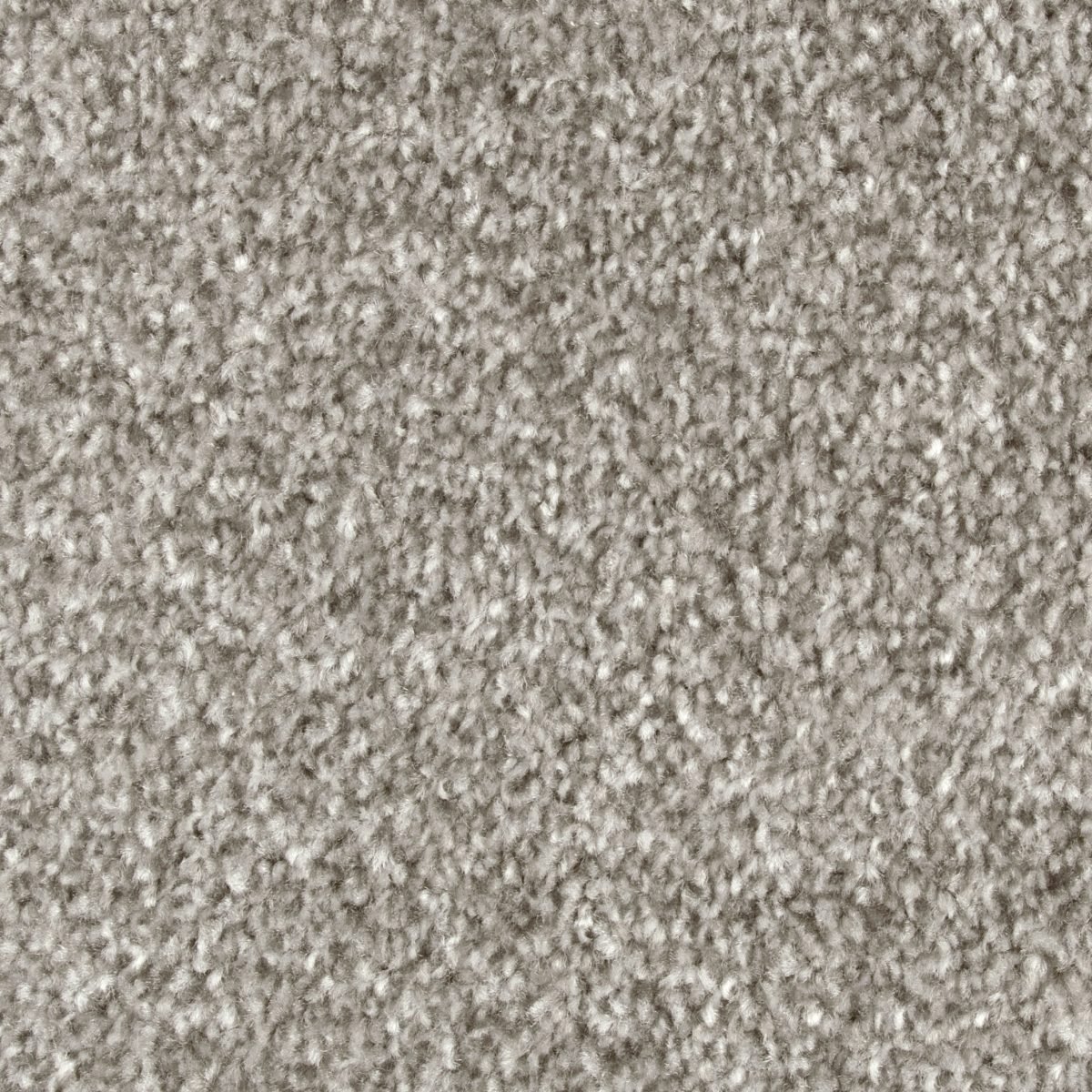 Bliss - Image 4