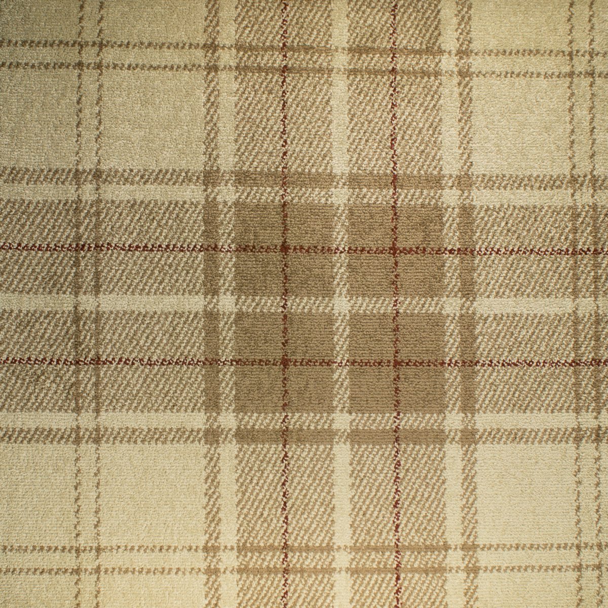 Glenco Wilton - Image 5