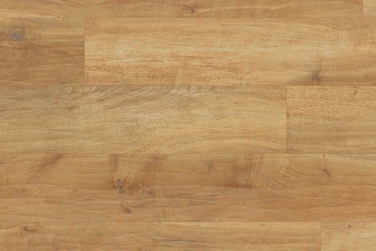 Spring Oak Gluedown LVT