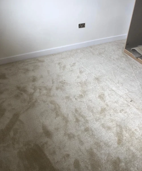 Carpets-2