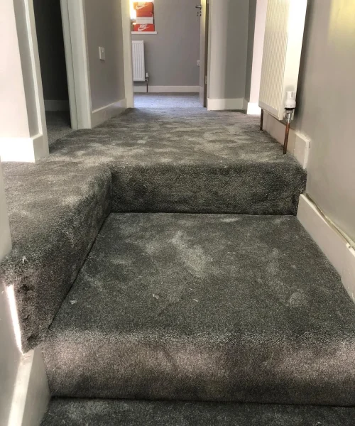 Carpets-3