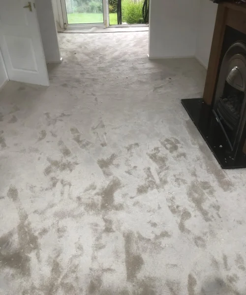 Carpets-4